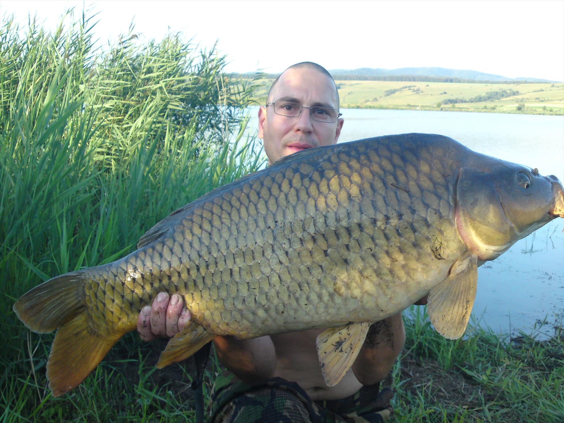 De toate - dsc00790.JPG